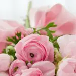 bouquet di fiori e1600353567621
