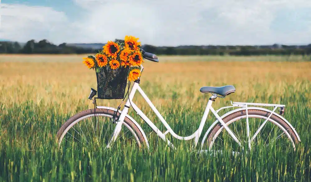 caratteristiche-principali-delle-biciclette-in-stile-vintage caratteristiche-principali-delle-biciclette-in-stile-vintage